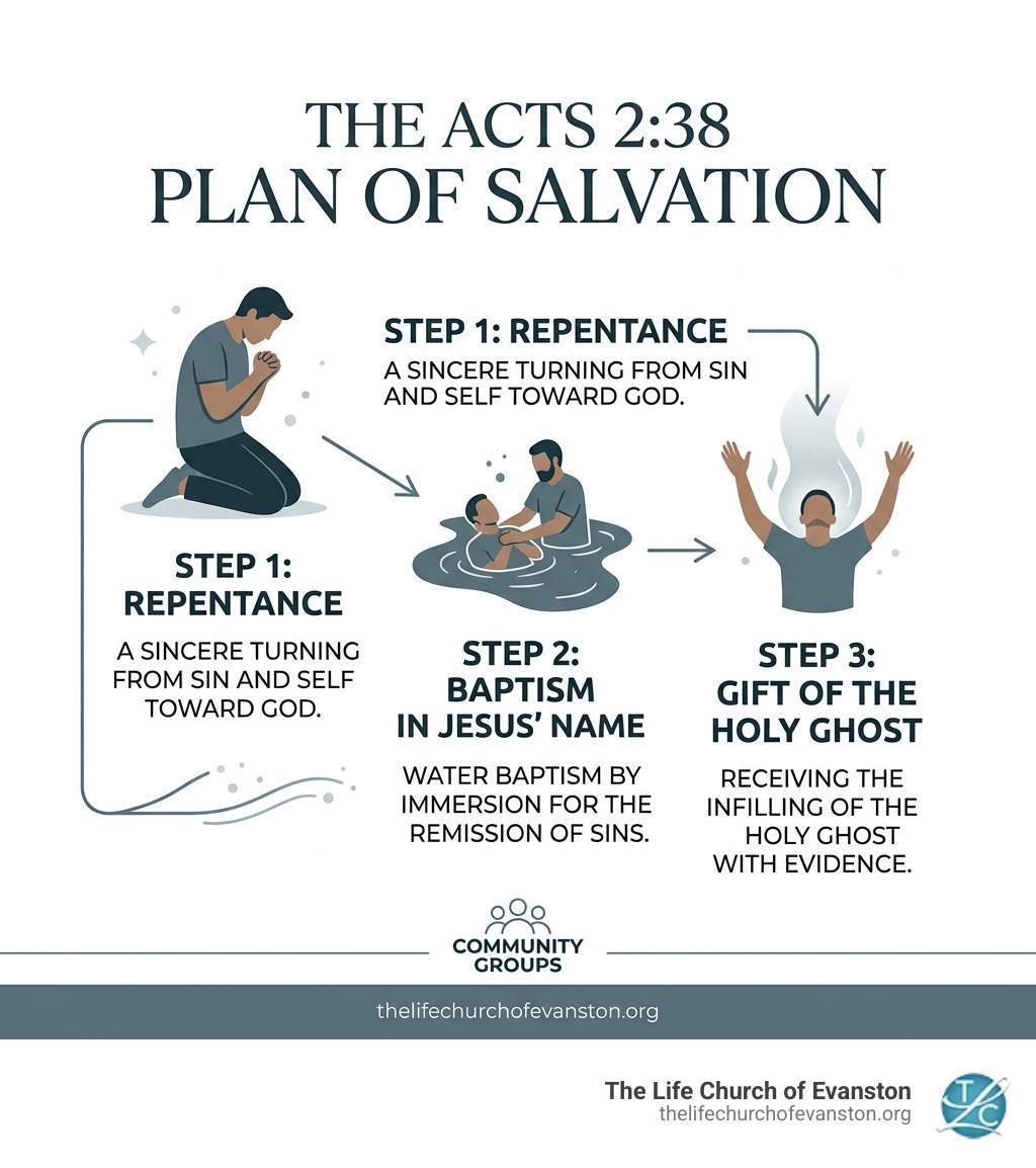 infographic showing the steps of Acts 2:38: Repentance, Baptism in Jesus' Name, and the Gift of the Holy Ghost infographic infographic showing the steps of Acts 2:38: Repentance, Baptism in Jesus' Name, and the Gift of the Holy Ghost infographic