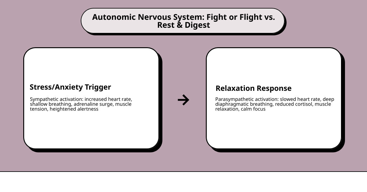 Infographic showing fight or flight vs rest and digest modes of the autonomic nervous system and proven anxiety relief