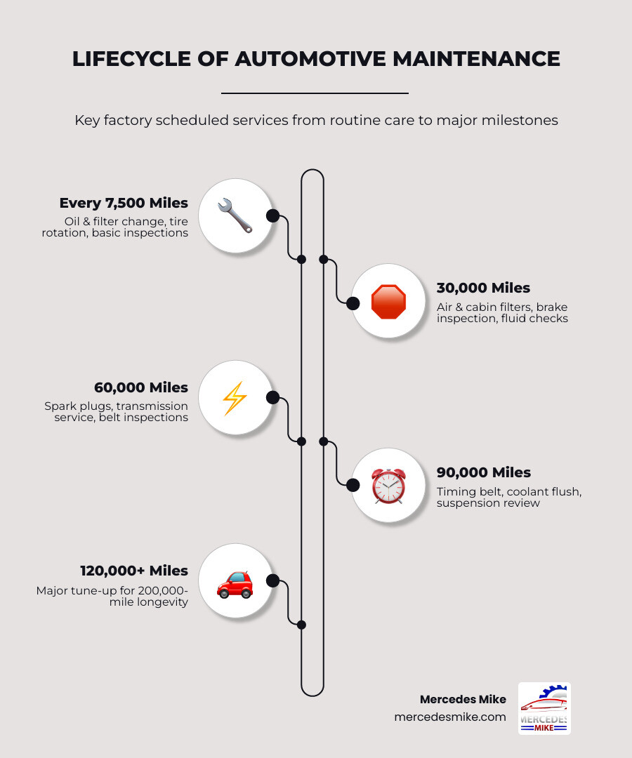 Lifecycle of automotive maintenance from oil changes to major milestones at 30k, 60k, 90k miles infographic Lifecycle of automotive maintenance from oil changes to major milestones at 30k, 60k, 90k miles infographic