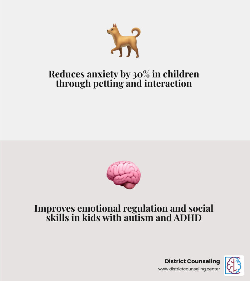5 key benefits of Tree House ESA therapy for children with autism and anxiety infographic infographic 5 key benefits of Tree House ESA therapy for children with autism and anxiety infographic infographic