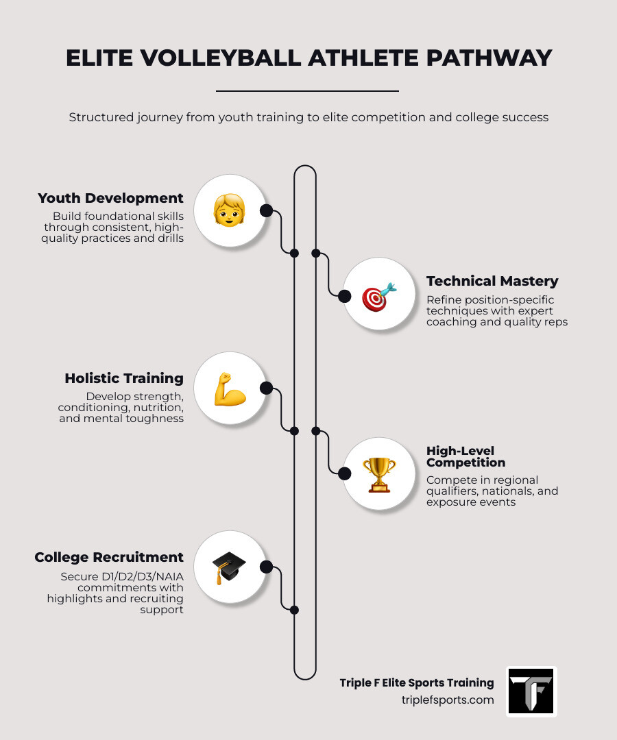 Elite volleyball pathway from youth development to college recruitment and professional play infographic Elite volleyball pathway from youth development to college recruitment and professional play infographic