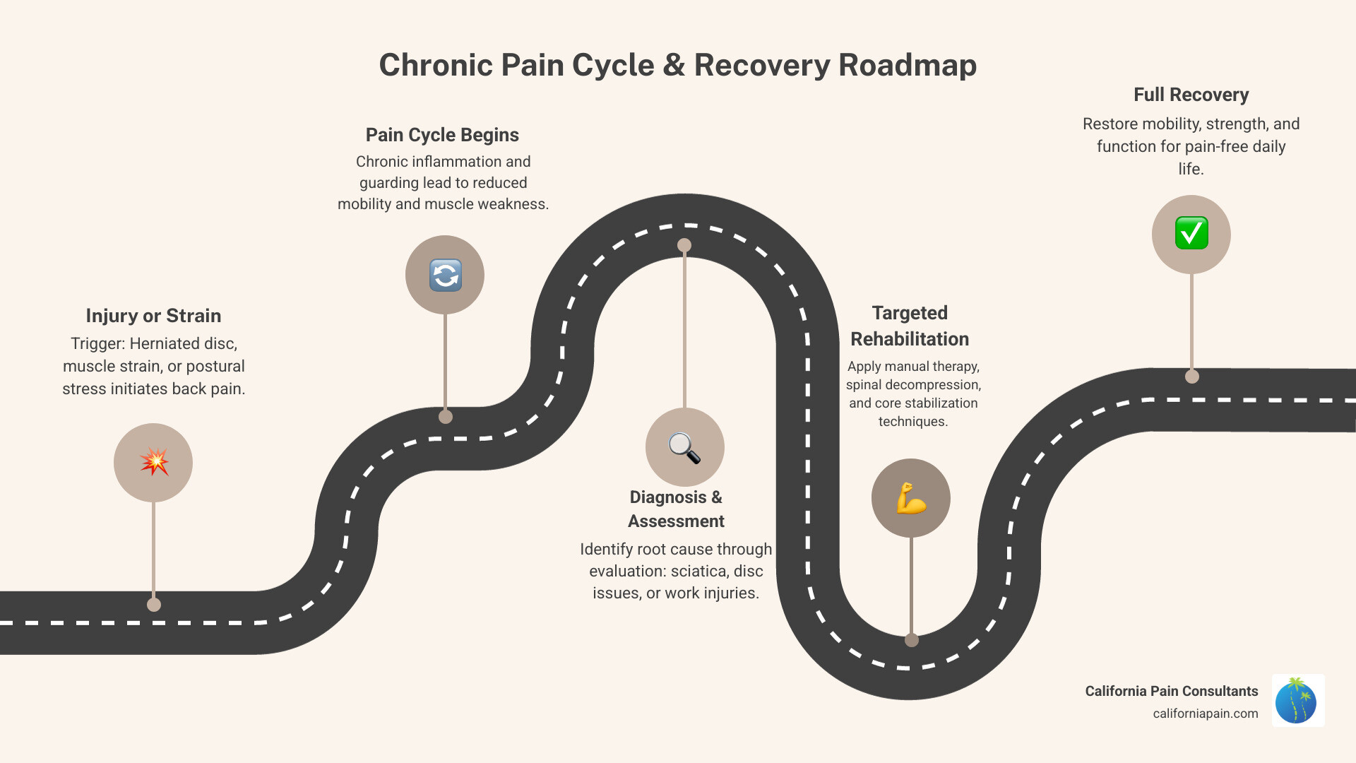 Infographic showing the chronic pain cycle and phases of back rehabilitation recovery infographic