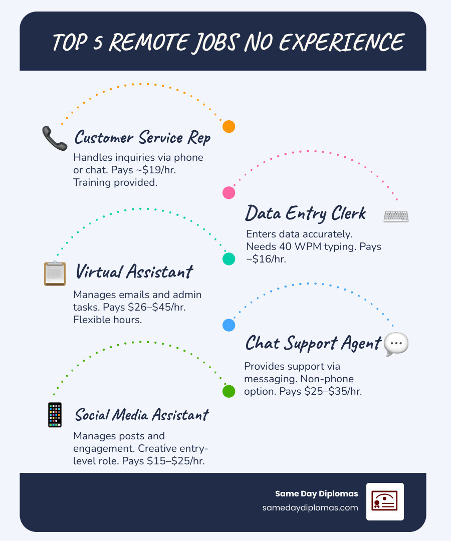 Top 5 remote job categories for beginners with no experience, hourly pay ranges, and key requirements infographic Top 5 remote job categories for beginners with no experience, hourly pay ranges, and key requirements infographic