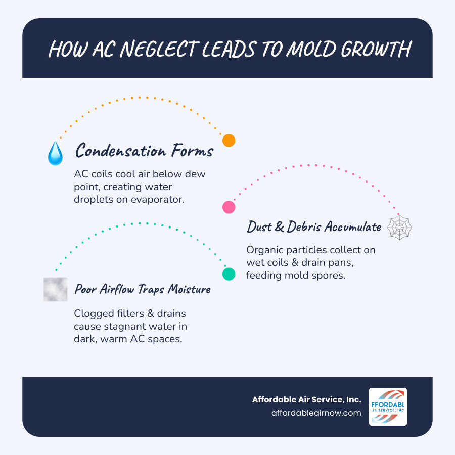 Infographic showing how condensation, dust buildup, and high humidity in an AC system lead to mold growth, and how Infographic showing how condensation, dust buildup, and high humidity in an AC system lead to mold growth, and how