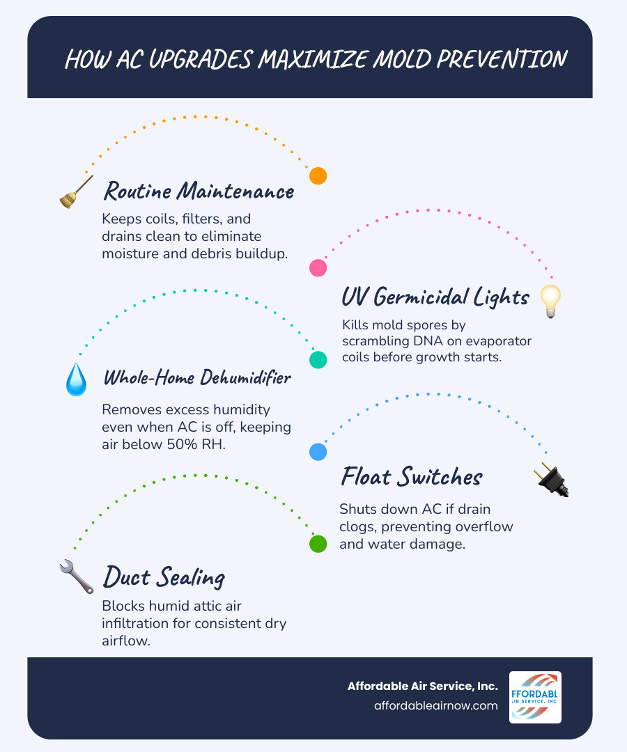 Infographic showing how UV lights and whole-home dehumidifiers integrate with a standard AC system to maximize mold Infographic showing how UV lights and whole-home dehumidifiers integrate with a standard AC system to maximize mold