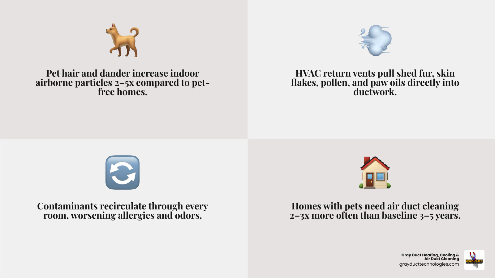 Infographic showing how pet fur, dander, and dust travel from living spaces into HVAC ductwork and recirculate through a