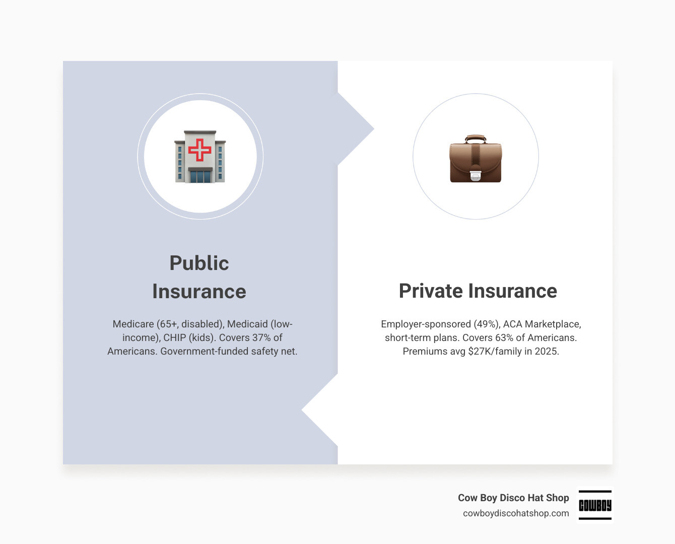 Infographic showing US public vs private health insurance coverage breakdown and key statistics 2026 infographic
