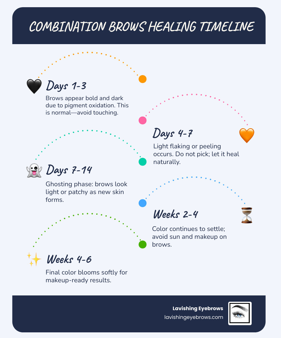 Infographic of the day-by-day healing stages of combination brows infographic