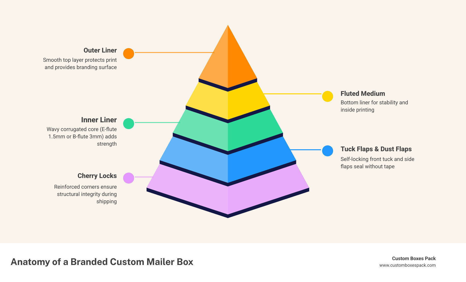 Anatomy of a roll-end tuck-front mailer box with labeled parts and key specs infographic