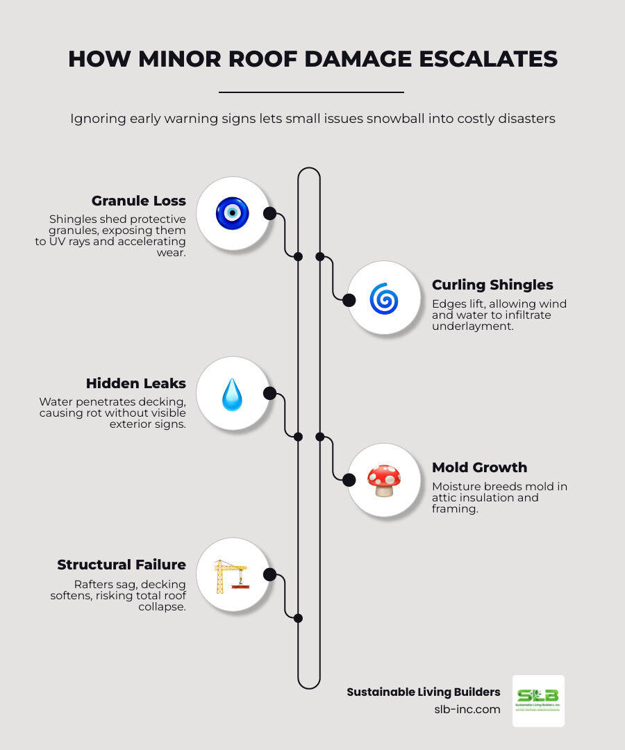 Infographic showing how minor roof damage like granule loss and curling shingles escalates to leaks, mold, and structural Infographic showing how minor roof damage like granule loss and curling shingles escalates to leaks, mold, and structural