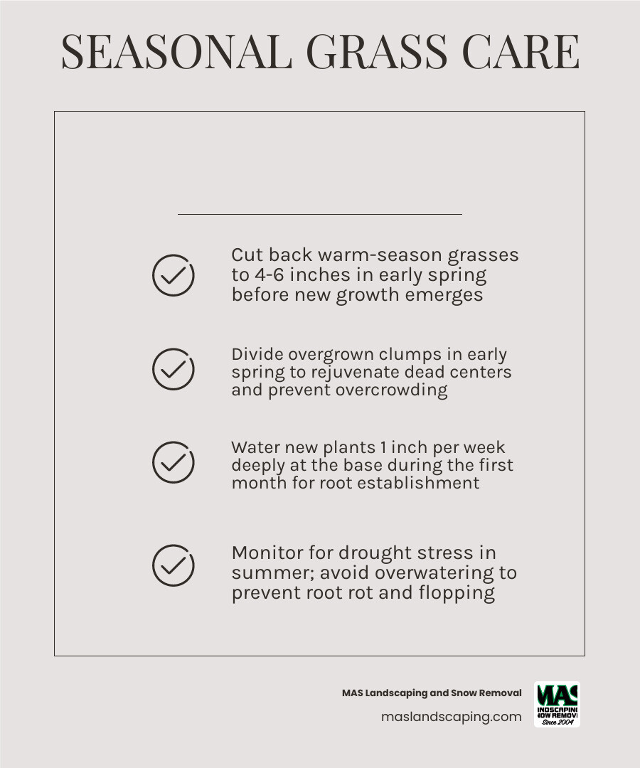 seasonal ornamental grass care checklist infographic