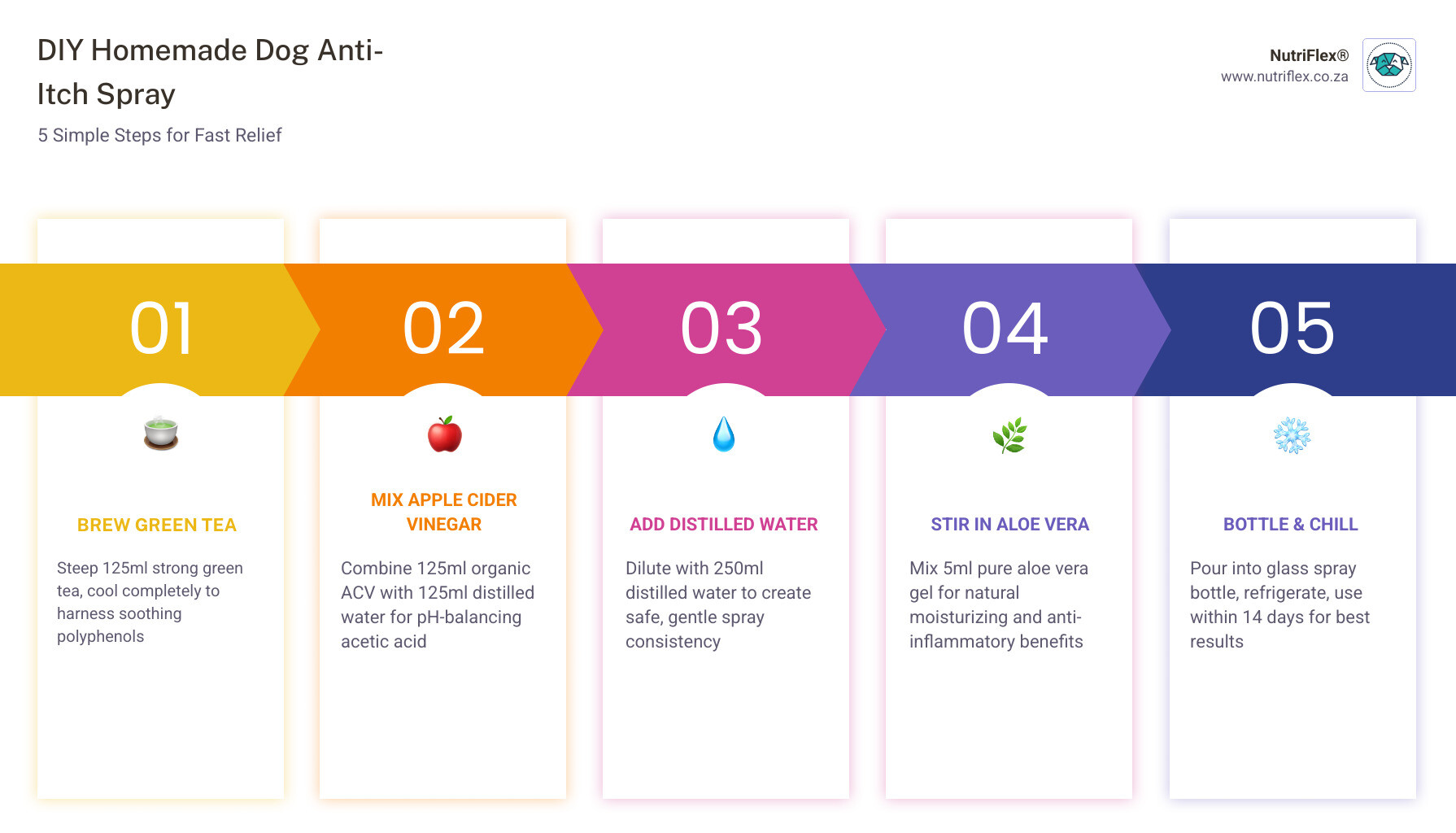 5-Step Infographic Showing Diy Homemade Dog Anti-Itch Spray Recipe With Ingredients And Application Tips Infographic 5-Step Infographic Showing Diy Homemade Dog Anti-Itch Spray Recipe With Ingredients And Application Tips Infographic