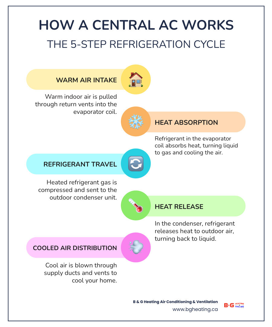 Infographic showing the 5-step central air conditioning cooling cycle from warm air intake to cooled air distribution Infographic showing the 5-step central air conditioning cooling cycle from warm air intake to cooled air distribution