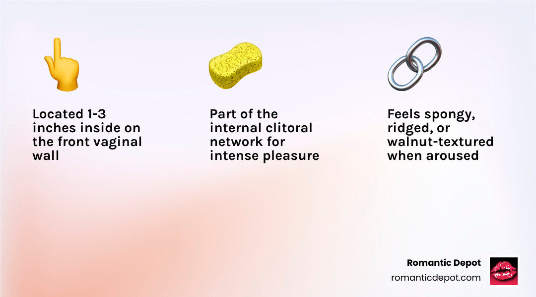 Infographic showing G-spot location, anatomy, and top vibrator picks by category infographic Infographic showing G-spot location, anatomy, and top vibrator picks by category infographic