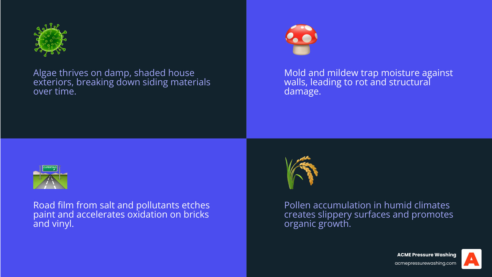 Infographic showing exterior contaminants algae mold road film pollen and their effects on siding infographic
