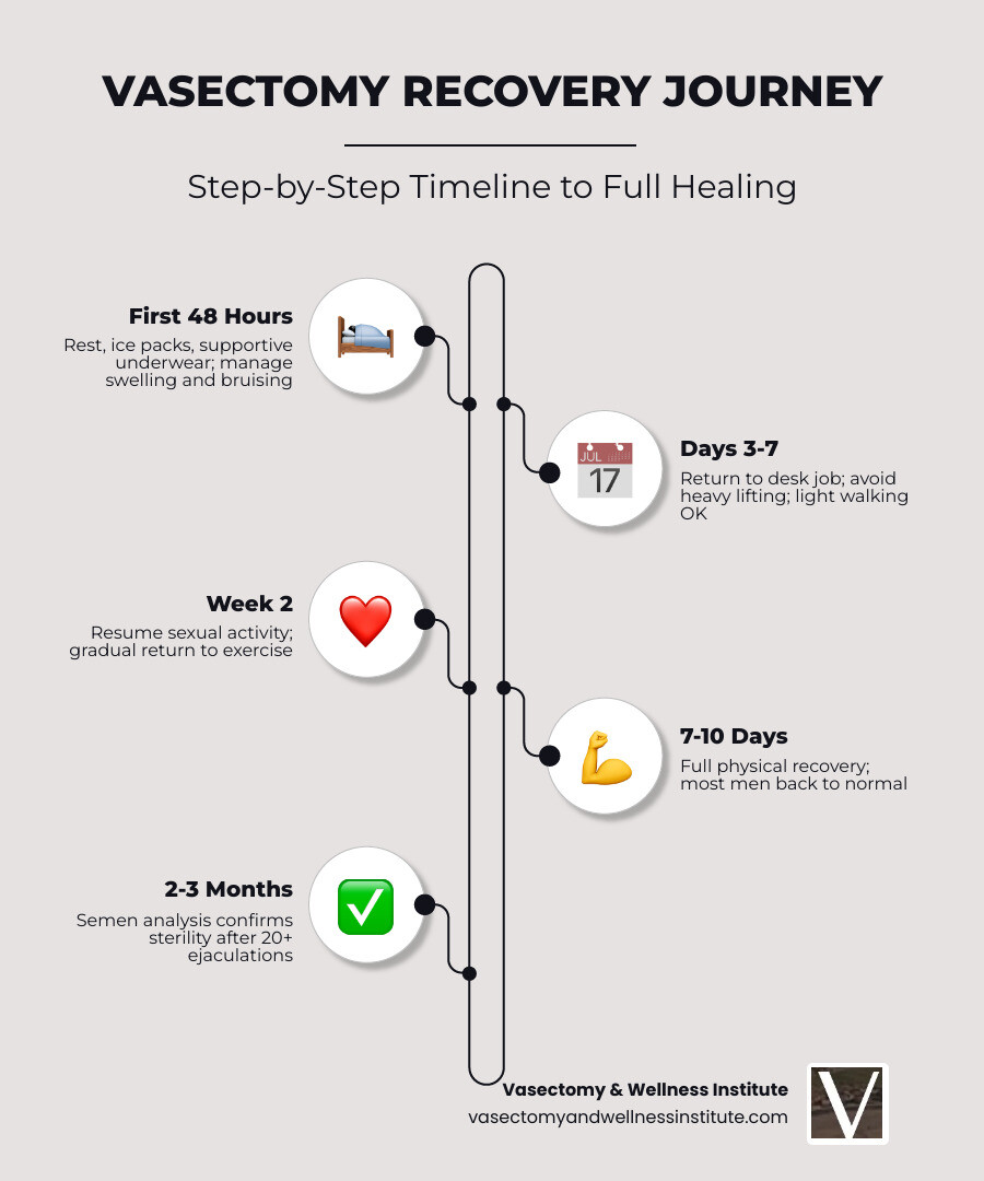 Infographic showing the 7-day vasectomy recovery journey with key milestones and activity guidelines infographic