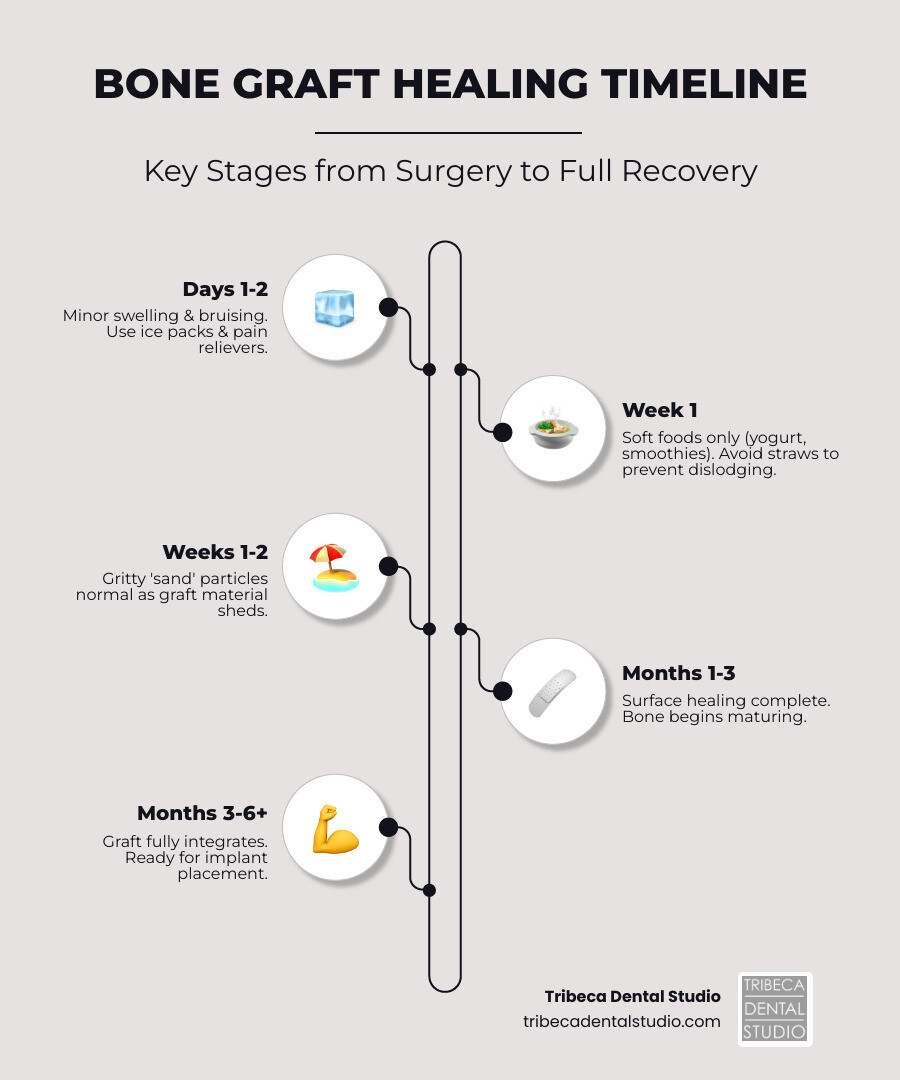 Timeline graphic showing the stages of bone graft healing from week 1 to month 6 infographic