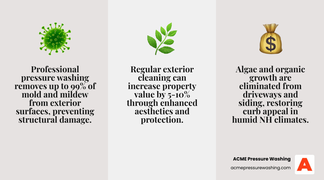 Infographic showing benefits of professional exterior cleaning for NH properties including mold prevention, curb appeal, and Infographic showing benefits of professional exterior cleaning for NH properties including mold prevention, curb appeal, and