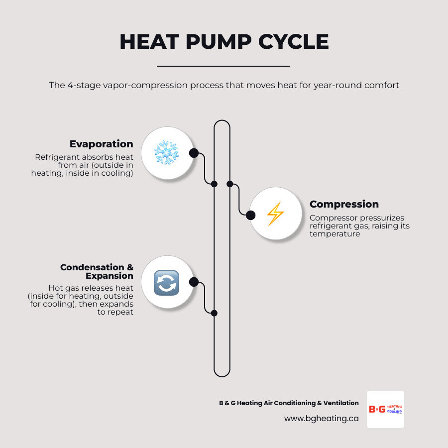 Infographic showing the four-step heat pump cycle: evaporation, compression, condensation, and expansion for both heating Infographic showing the four-step heat pump cycle: evaporation, compression, condensation, and expansion for both heating
