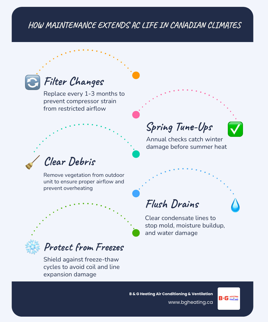 Infographic: How routine AC maintenance extends system life in Canada's four seasons infographic Infographic: How routine AC maintenance extends system life in Canada's four seasons infographic