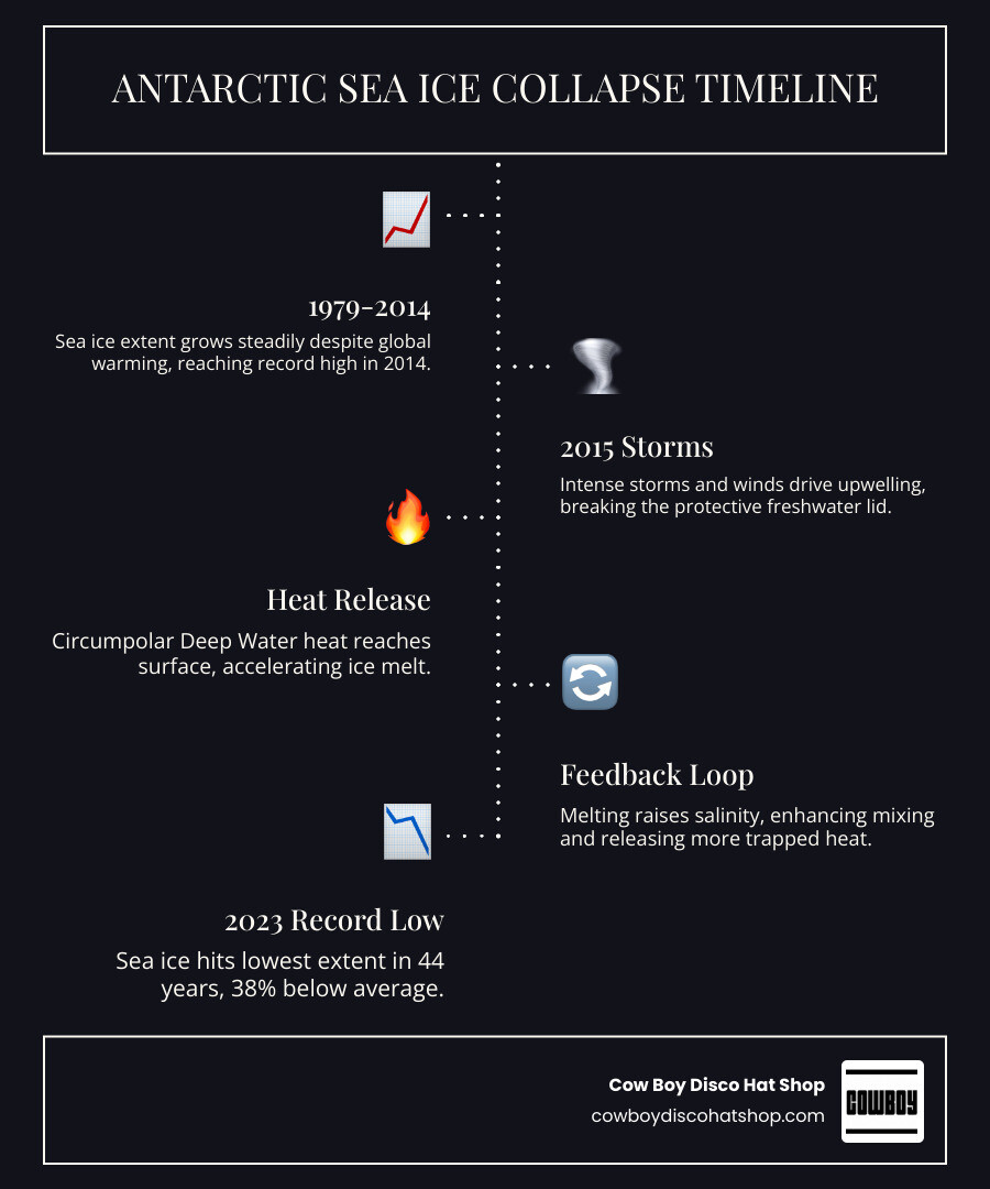 Infographic showing Antarctic sea ice seasonal cycle, 2014 record high, 2015 collapse trigger, and 2023 record low with key
