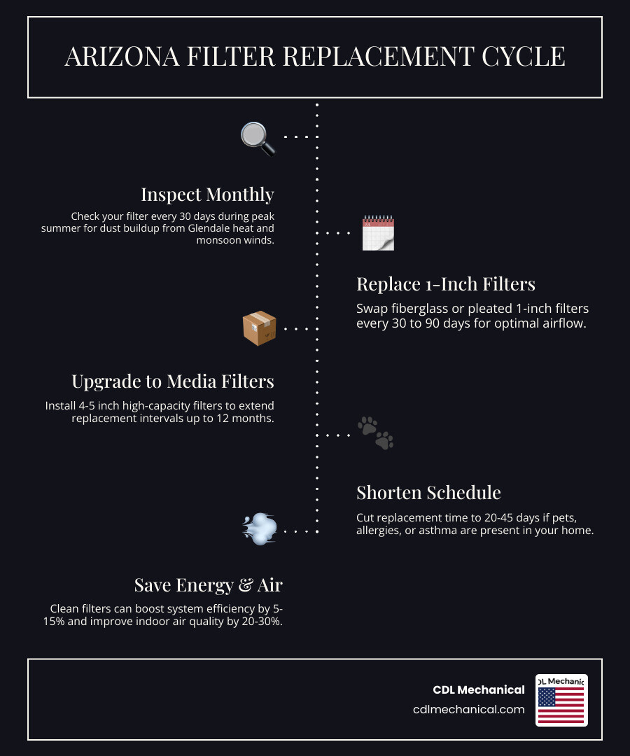 Infographic showing HVAC filter replacement frequency by household type and filter size for Arizona homes infographic