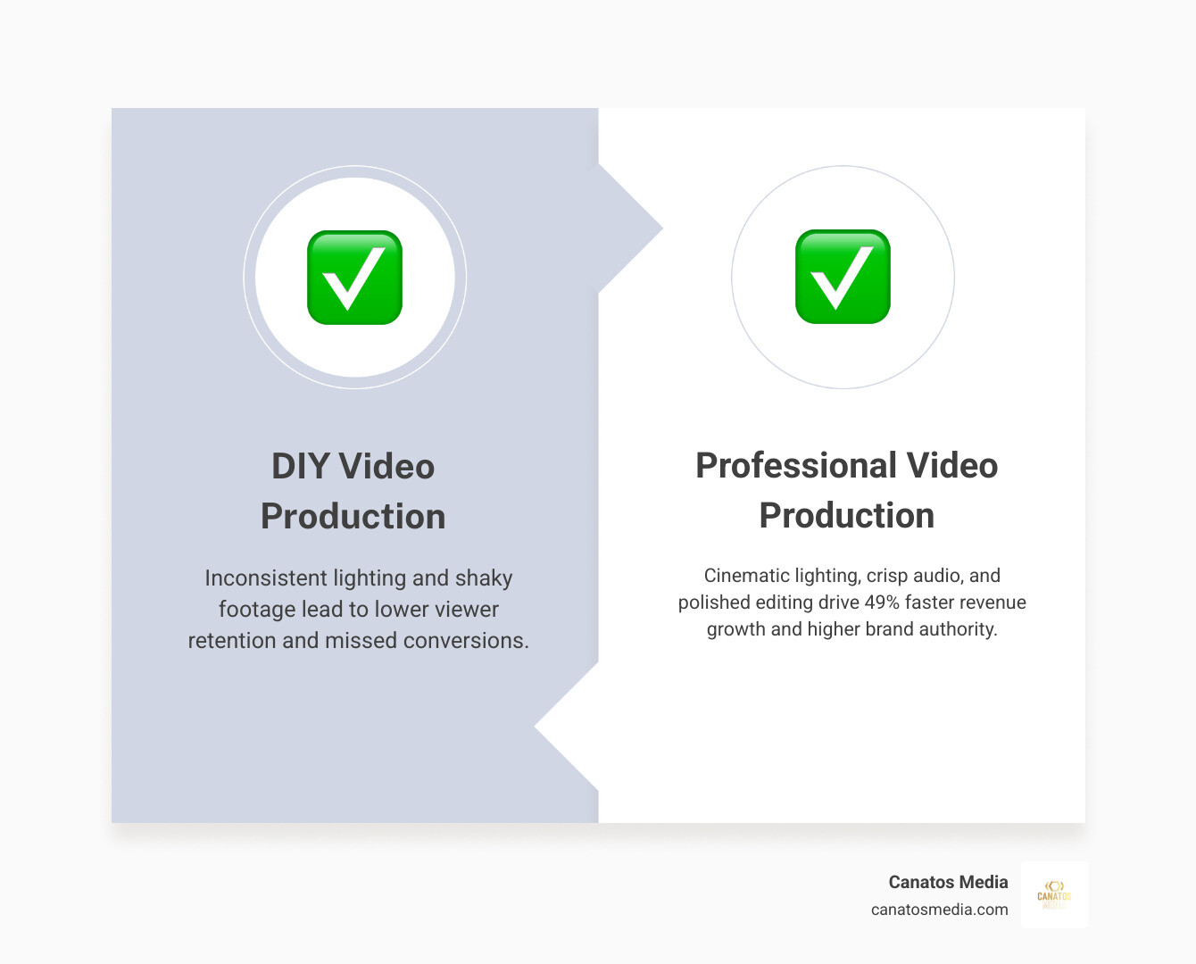 Infographic comparing DIY vs Professional Video ROI metrics infographic