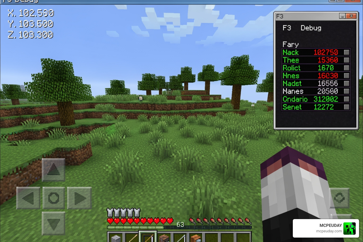 Coordinate overlay showing X, Y, and Z positions in-game