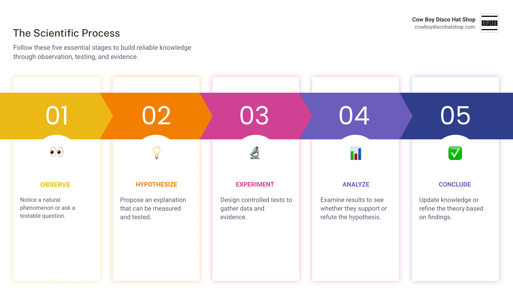 Infographic showing the scientific process: observation, hypothesis, experiment, analysis, conclusion infographic