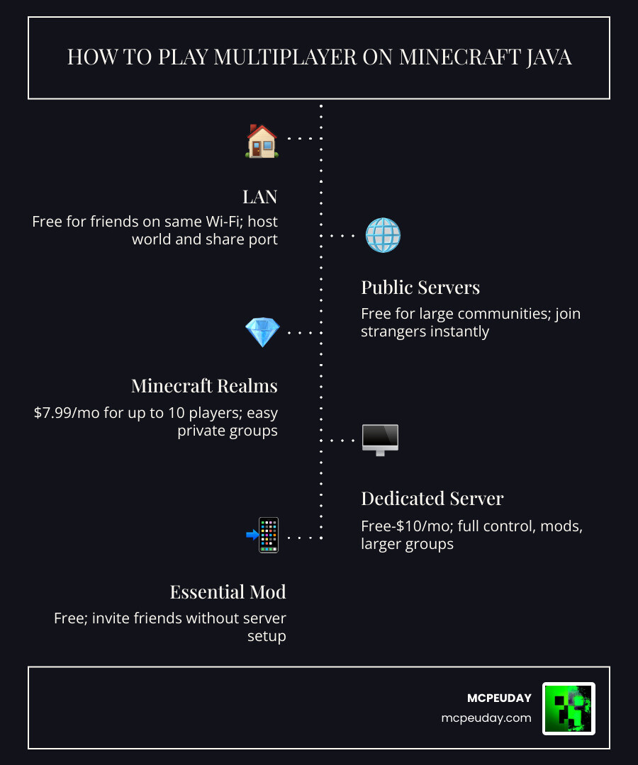 Infographic showing 5 Minecraft Java multiplayer methods with cost, player limits, and difficulty level infographic Infographic showing 5 Minecraft Java multiplayer methods with cost, player limits, and difficulty level infographic