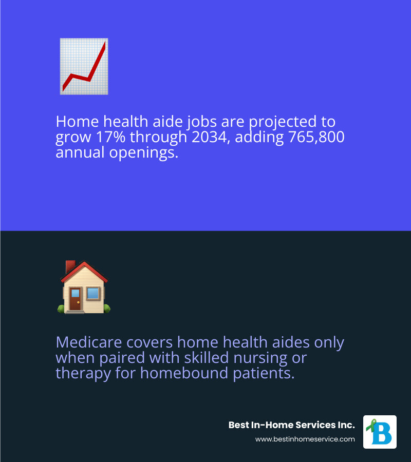 Infographic showing the 17% projected growth of home health aide jobs through 2034 infographic Infographic showing the 17% projected growth of home health aide jobs through 2034 infographic