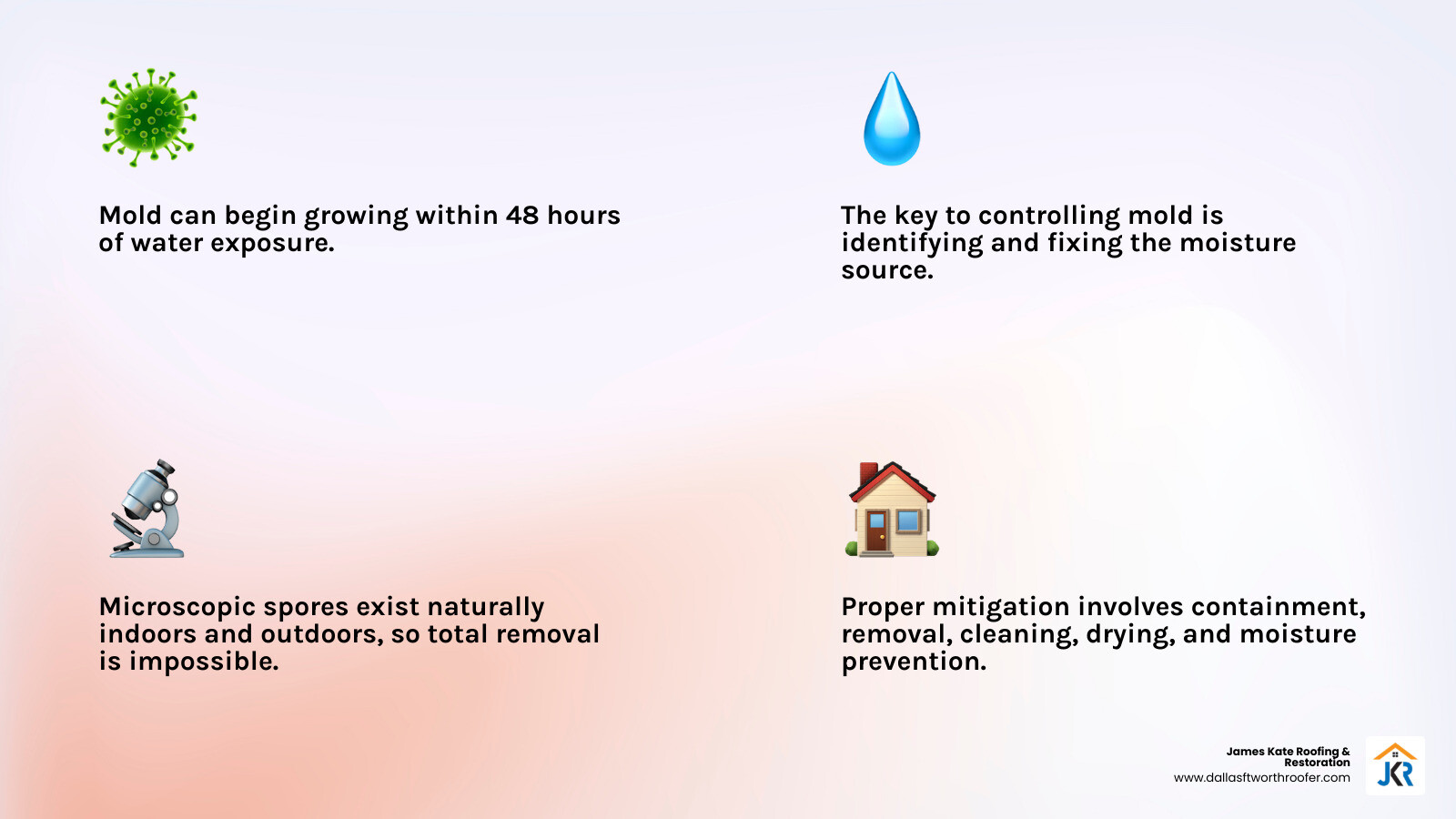 Mold mitigation lifecycle infographic showing steps from moisture detection to clearance infographic Mold mitigation lifecycle infographic showing steps from moisture detection to clearance infographic