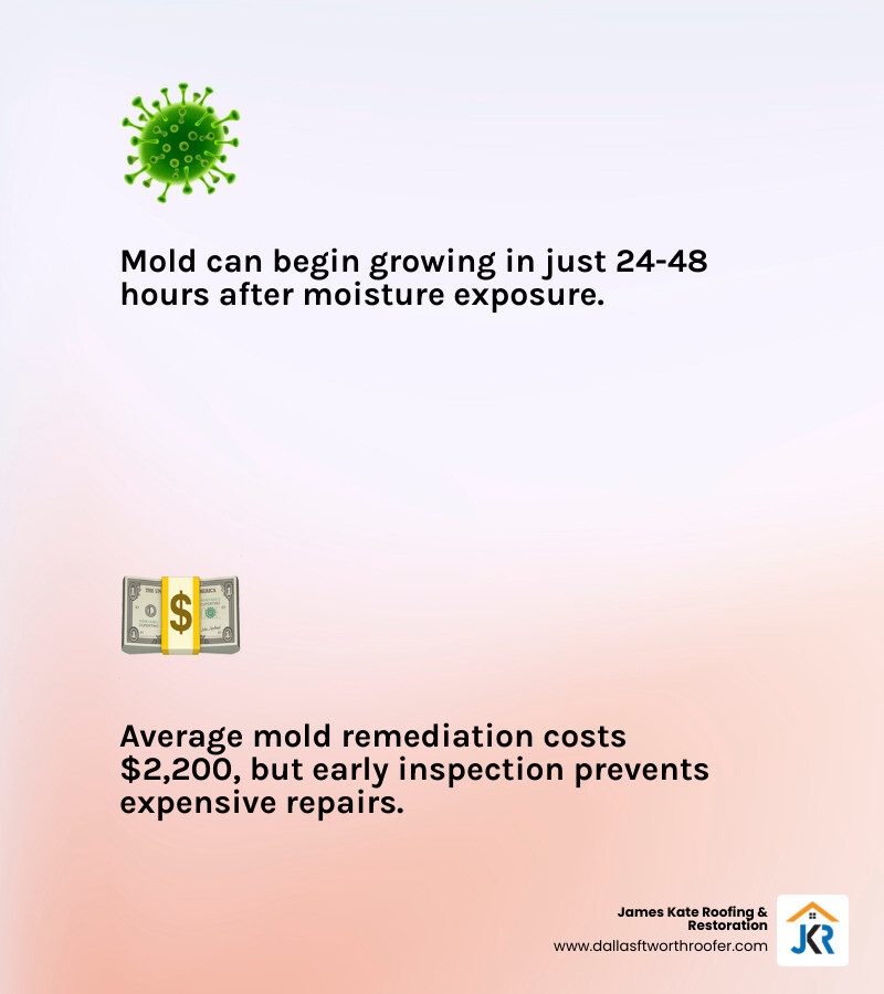 Infographic comparing mold remediation costs and timelines for DFW area homes infographic Infographic comparing mold remediation costs and timelines for DFW area homes infographic