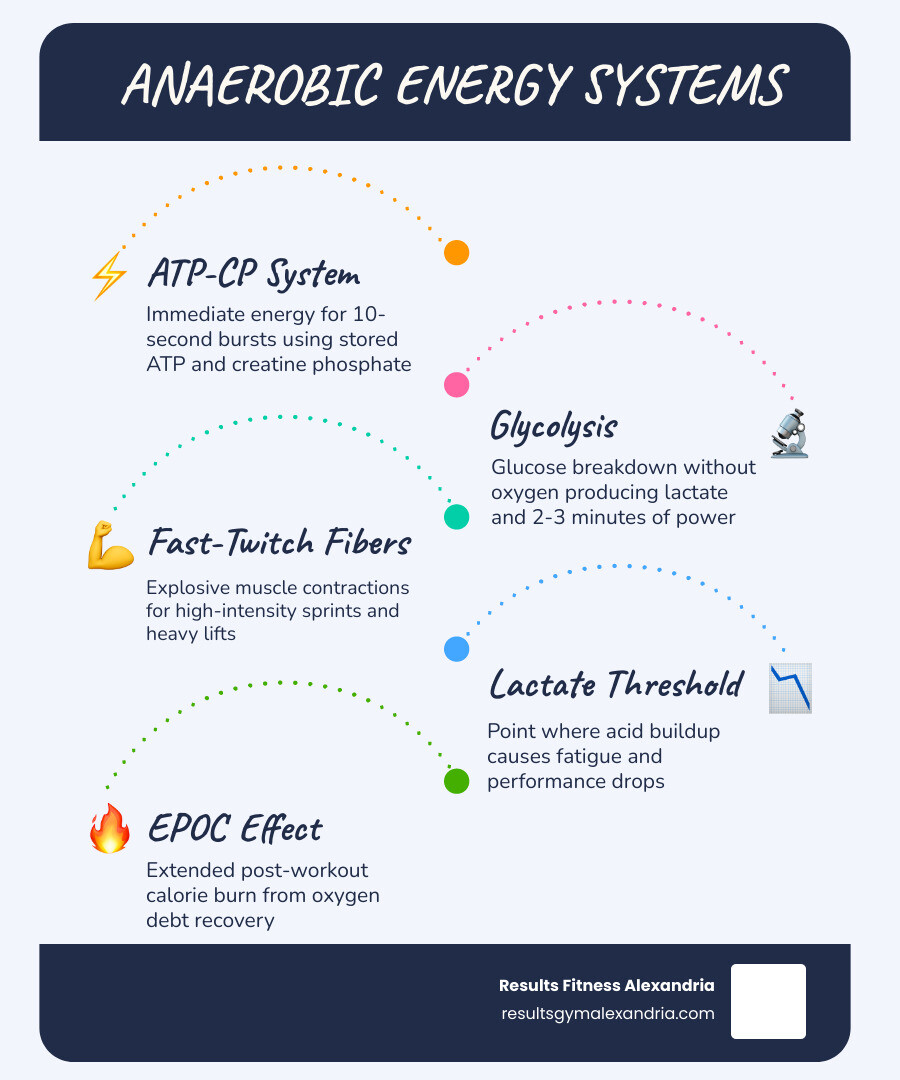 Infographic showing the difference between aerobic and anaerobic metabolism with energy systems and examples infographic
