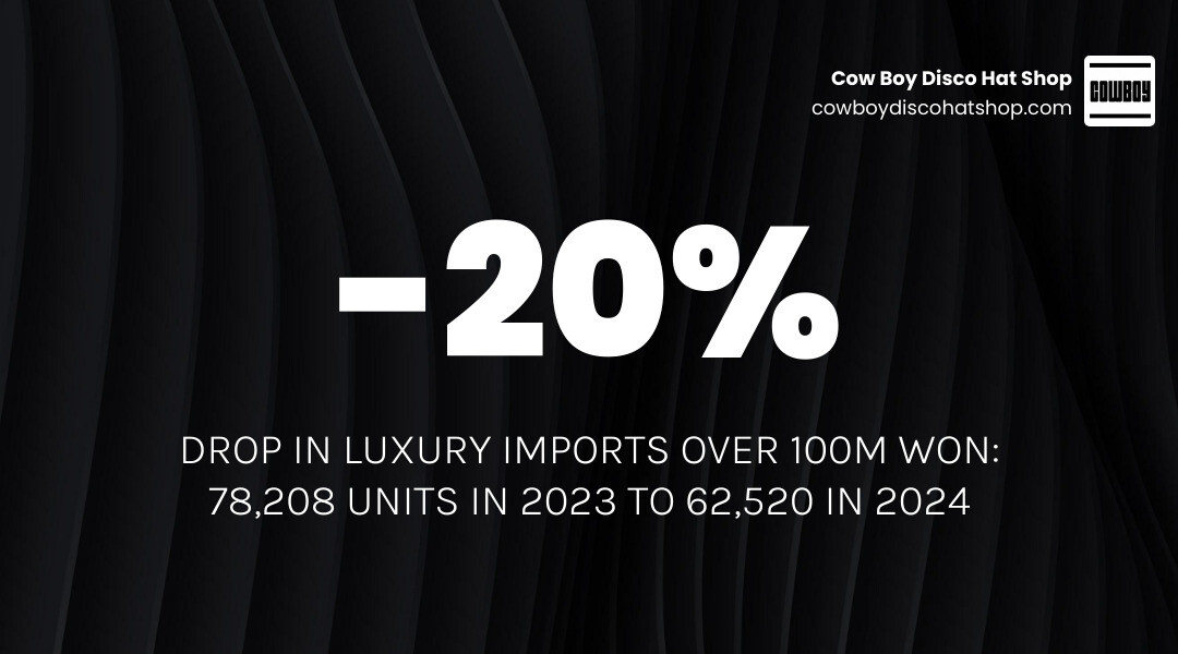 Infographic showing South Korea luxury car sales drop: 20% decline in 100M+ won imports, top brand declines 2024 infographic Infographic showing South Korea luxury car sales drop: 20% decline in 100M+ won imports, top brand declines 2024 infographic