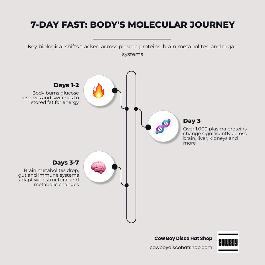 Infographic showing the 7-day fasting biological timeline across organs and key molecular changes infographic