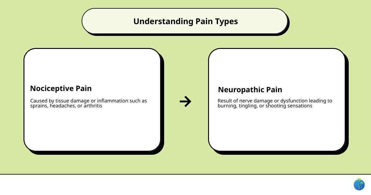 Infographic comparing nociceptive pain vs neuropathic pain with safe relief options for each infographic