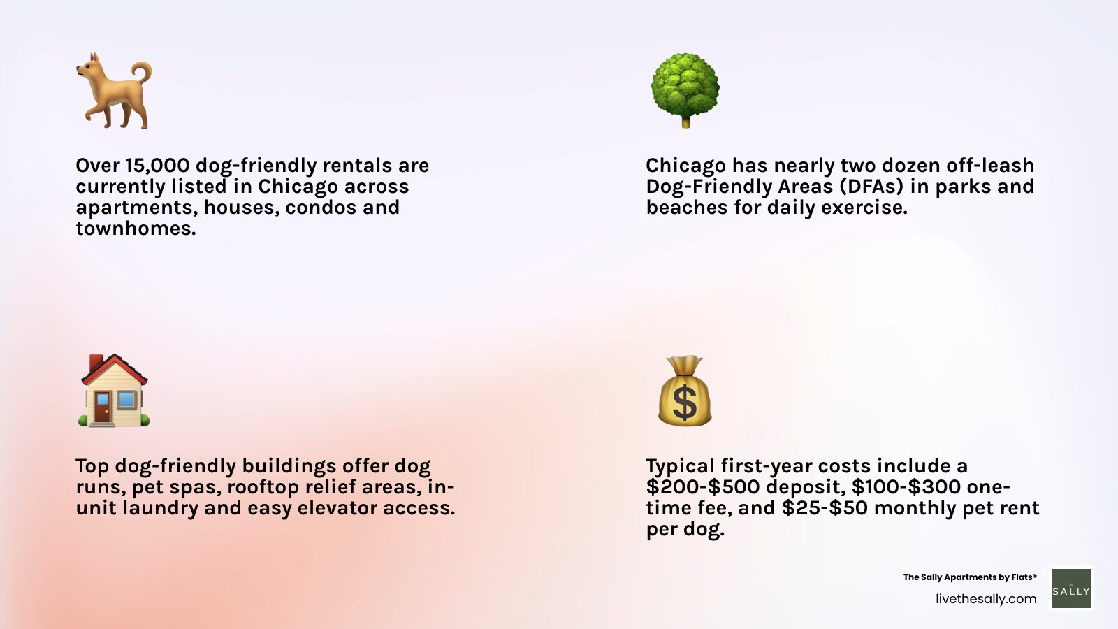 Infographic comparing dog-friendly rental types, fees, amenities, and top Chicago neighborhoods infographic