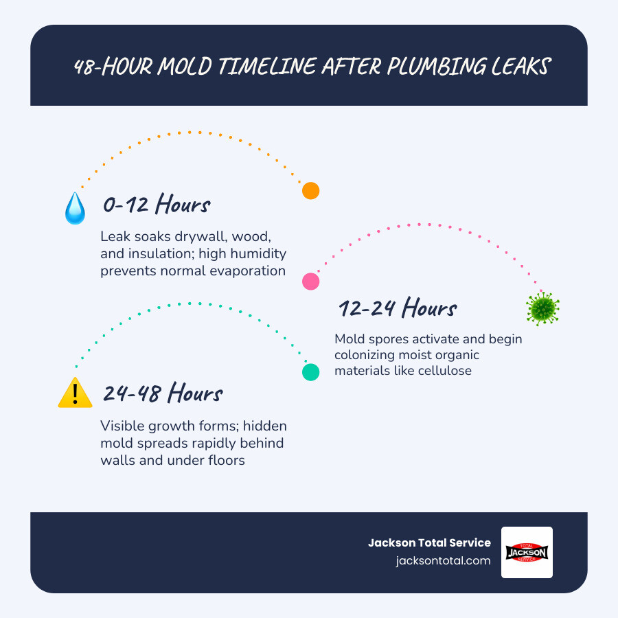 Infographic showing 48-hour mold growth timeline after plumbing leak in humid climate infographic Infographic showing 48-hour mold growth timeline after plumbing leak in humid climate infographic