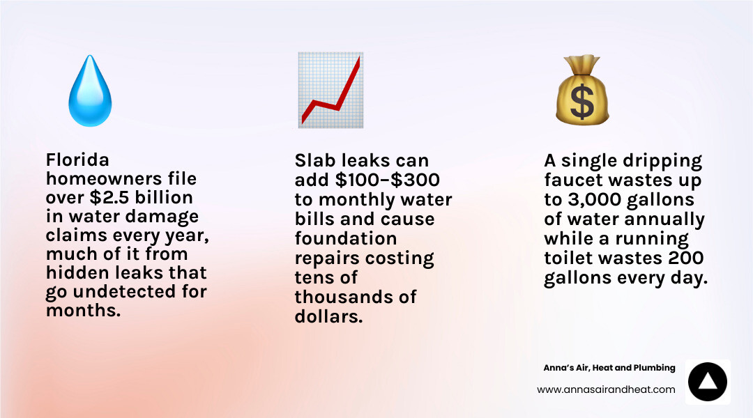 Infographic showing annual financial impact of undetected plumbing leaks in Florida homes infographic Infographic showing annual financial impact of undetected plumbing leaks in Florida homes infographic