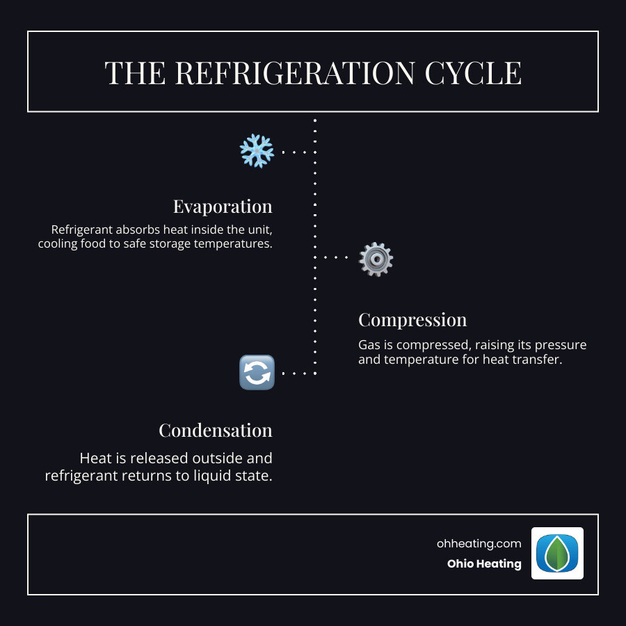 Infographic showing types of commercial coolers and freezers with temperature ranges and best use cases infographic