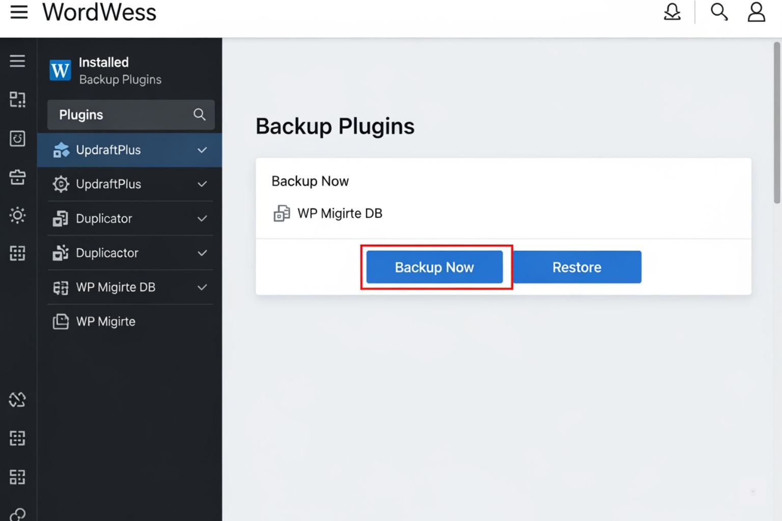 WordPress plugin dashboard showing backup options WordPress plugin dashboard showing backup options