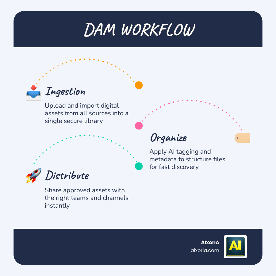 DAM workflow from asset ingestion through organization, search, sharing, and distribution infographic
