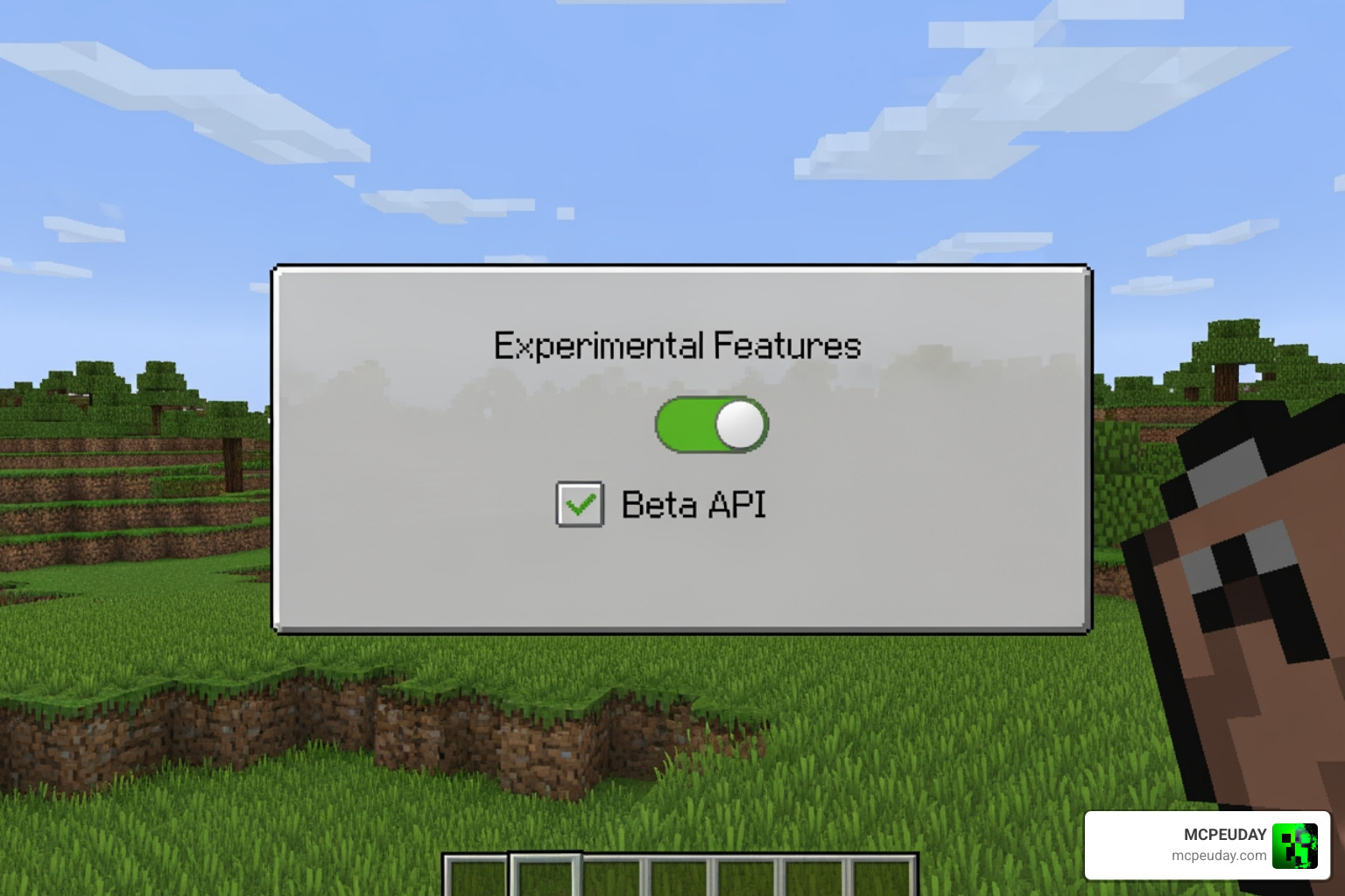Minecraft Experimental Features toggle screen showing Beta API enabled