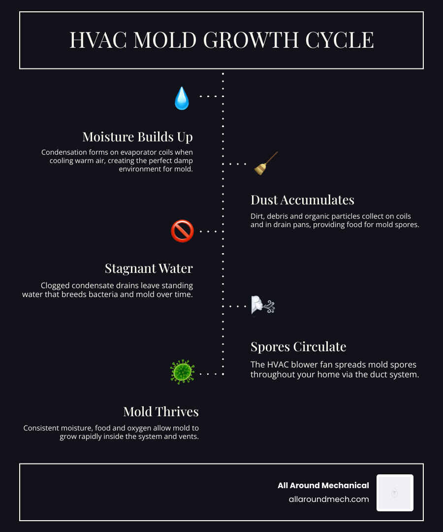 Infographic showing the HVAC mold growth cycle from condensation to spore distribution and prevention steps infographic Infographic showing the HVAC mold growth cycle from condensation to spore distribution and prevention steps infographic