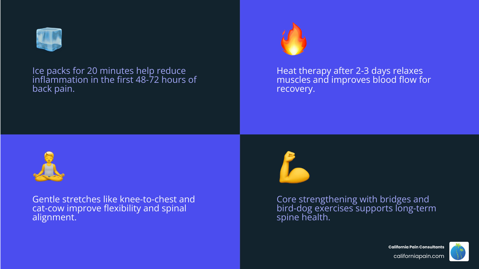 Common triggers of acute vs. chronic back pain and top home remedies infographic Common triggers of acute vs. chronic back pain and top home remedies infographic