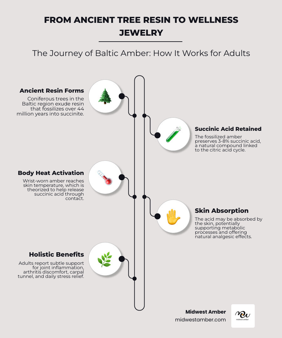 Infographic: Baltic amber bracelet journey from ancient tree resin to succinic acid skin contact wellness jewelry infographic