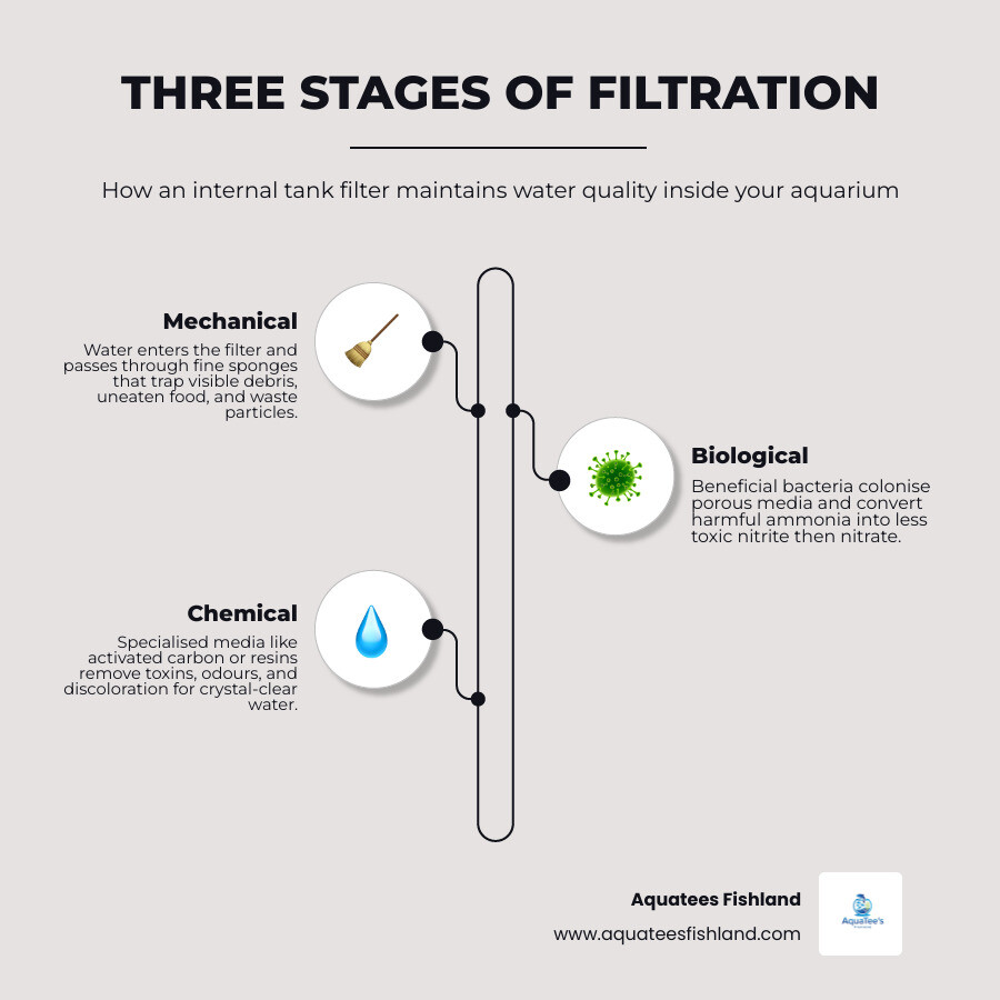 How internal tank filters work: 3-stage mechanical, biological, and chemical filtration process infographic