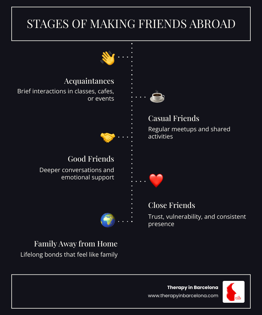 Stages of making friends abroad: timeline from acquaintances to close friendships infographic Stages of making friends abroad: timeline from acquaintances to close friendships infographic