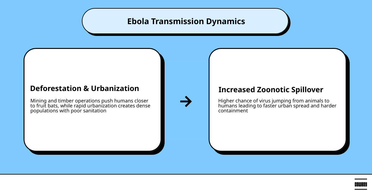Comparison of rural vs urban transmission dynamics during Ebola outbreaks infographic Comparison of rural vs urban transmission dynamics during Ebola outbreaks infographic